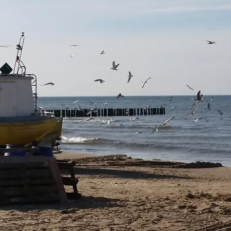 Pomerania Z Podgrzewanym Basenem 30 Metrow Do Morza 레왈